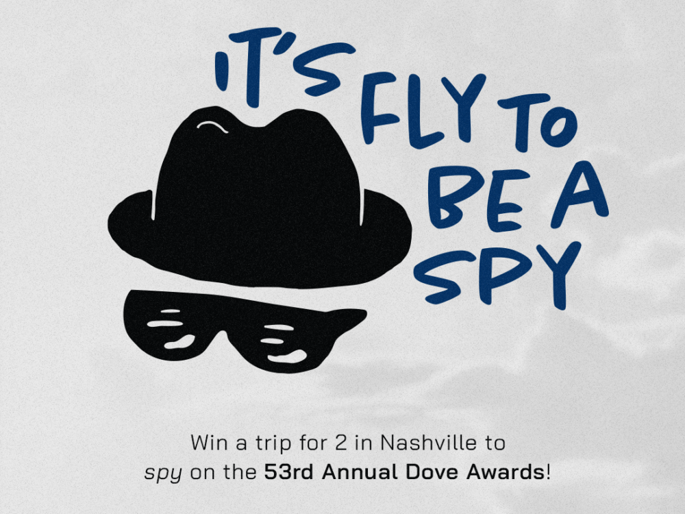 It's fly to be a spy contest